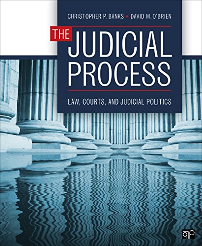 Beispielbild fr The Judicial Process: Law, Courts, and Judicial Politics zum Verkauf von BooksRun