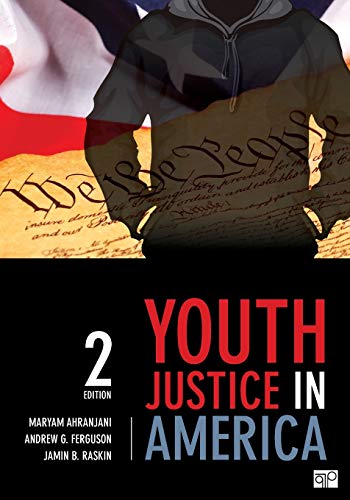 9781483319162: Youth Justice in America
