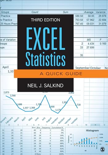Beispielbild fr Excel Statistics: A Quick Guide zum Verkauf von ThriftBooks-Atlanta