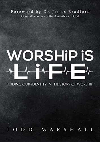 Stock image for Worship Is Life: Finding Our Identity in the Story of Worship for sale by SecondSale