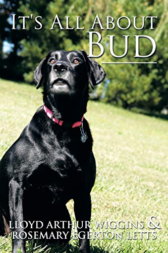 Stock image for It's All About Bud for sale by Lucky's Textbooks
