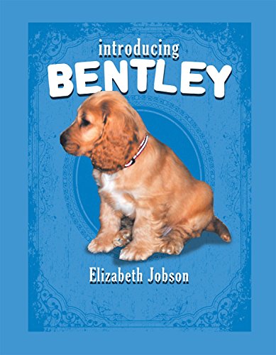 Beispielbild fr Introducing Bentley zum Verkauf von medimops