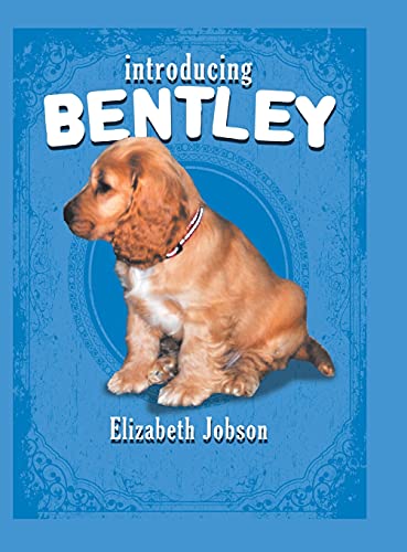 9781483659442: Introducing Bentley