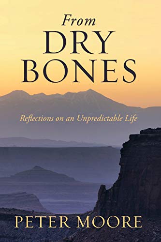 Beispielbild fr From Dry Bones: Reflections on an Unpredictable Life zum Verkauf von WorldofBooks