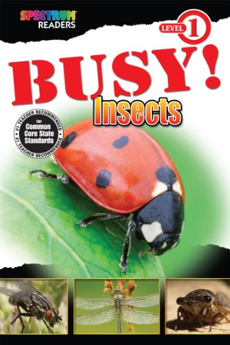 Stock image for BUSY! Insects : Level 1 for sale by Better World Books