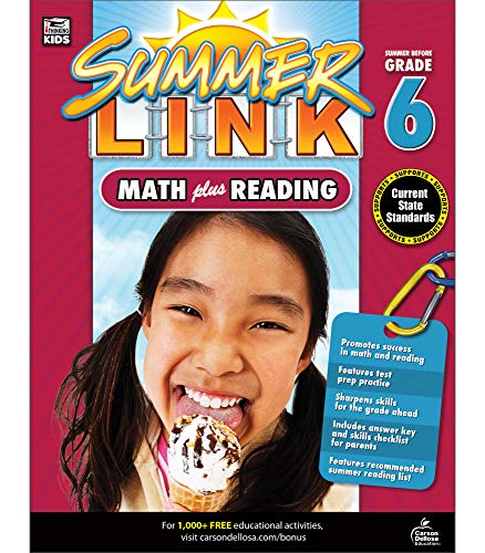 Stock image for Math Plus Reading Workbook: Summer Before Grade 6 (Summer Link) for sale by Jenson Books Inc