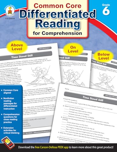 Beispielbild fr Differentiated Reading for Comprehension, Grade 6 zum Verkauf von Blackwell's