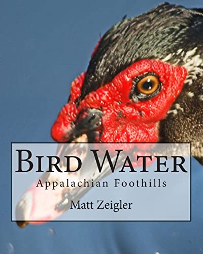 Imagen de archivo de Bird Water: Appalachian Foothills a la venta por THE SAINT BOOKSTORE