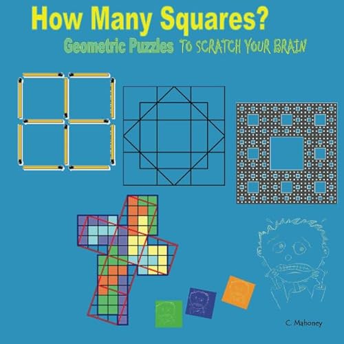 Stock image for How Many Squares?: Geometric Puzzles to scratch your brain for sale by Revaluation Books