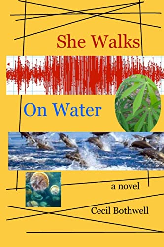 9781484009208: She Walks On Water: a novel