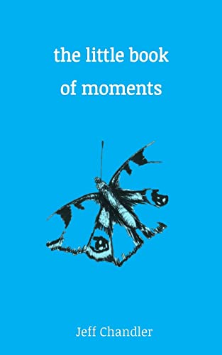 Imagen de archivo de The Little Book of Moments a la venta por WorldofBooks
