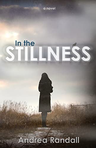 Stock image for In the Stillness for sale by ThriftBooks-Dallas