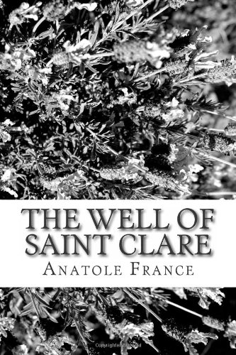 9781484132418: The Well of Saint Clare