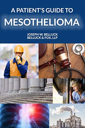 Beispielbild fr A Patient's Guide to Mesothelioma zum Verkauf von Bahamut Media