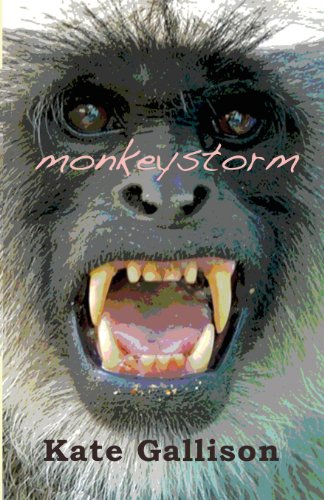 Imagen de archivo de Monkeystorm a la venta por Wonder Book