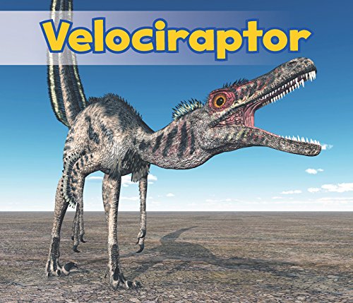 Beispielbild fr Velociraptor (Acorn: All about Dinosaurs) zum Verkauf von BooksRun