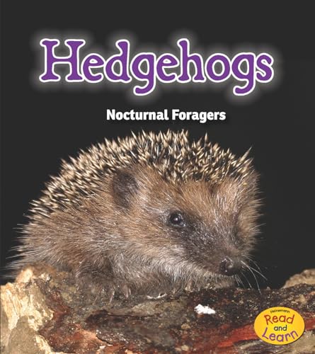 Imagen de archivo de Hedgehogs: Nocturnal Foragers (Night Safari) a la venta por SecondSale