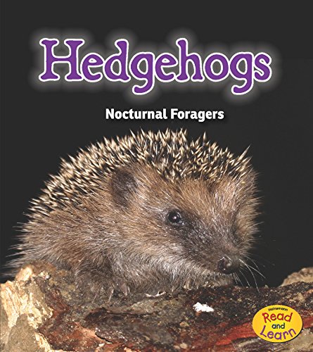 9781484603192: Hedgehogs: Nocturnal Foragers (Night Safari)