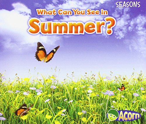 Stock image for What Can You See in Summer? for sale by Blackwell's
