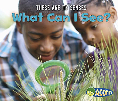 Beispielbild fr What Can I See? (Acorn: These Are My Senses) zum Verkauf von Reuseabook