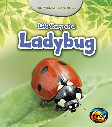 9781484604885: Life Story of a Ladybug (Heinemann First Library: Animal Life Stories)