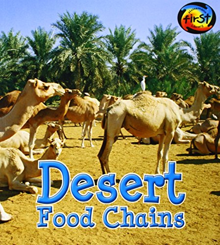 9781484605288: Desert Food Chains (Food Chains and Webs)