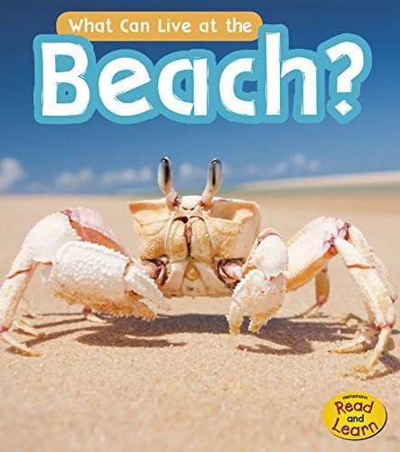 Imagen de archivo de What Can Live at the Beach? a la venta por Better World Books