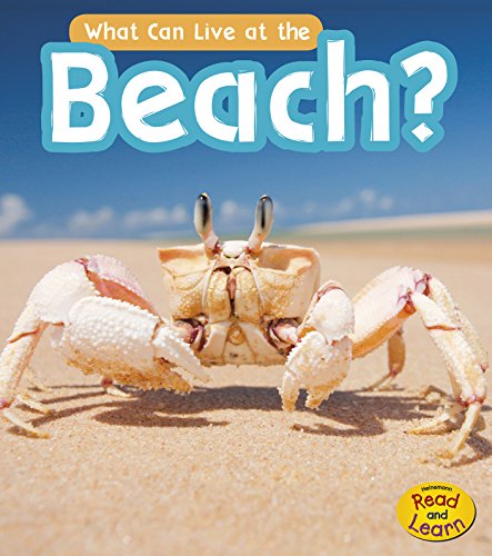 Stock image for What Can Live at the Beach? for sale by Better World Books