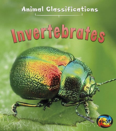 Stock image for Invertebrates (Animal Classification) for sale by Irish Booksellers