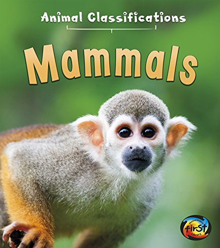 Stock image for Mammals (Animal Classifications) for sale by Irish Booksellers