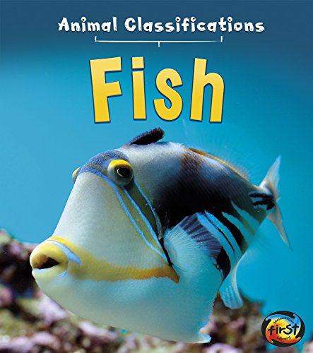 Stock image for Fish (Animal Classification) for sale by HPB-Movies