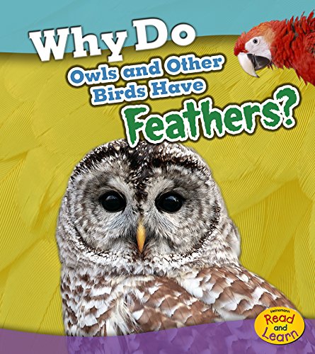 Imagen de archivo de Why Do Owls and Other Birds Have Feathers? a la venta por Revaluation Books