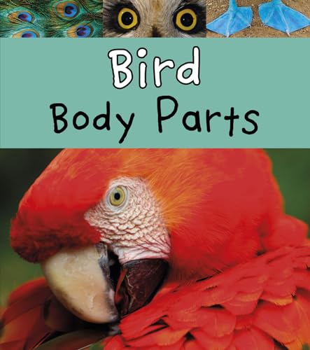 Beispielbild fr Bird Body Parts zum Verkauf von ThriftBooks-Dallas