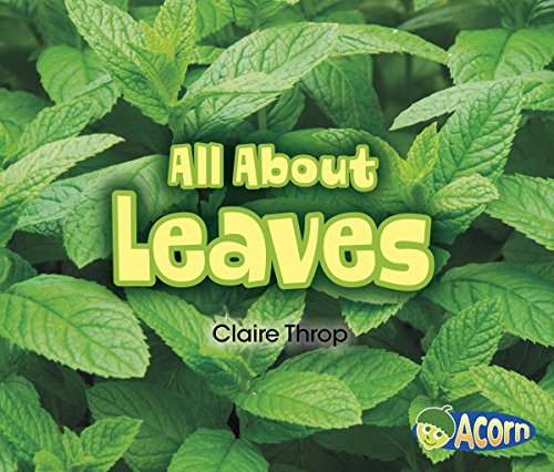 Stock image for All about Leaves for sale by Better World Books