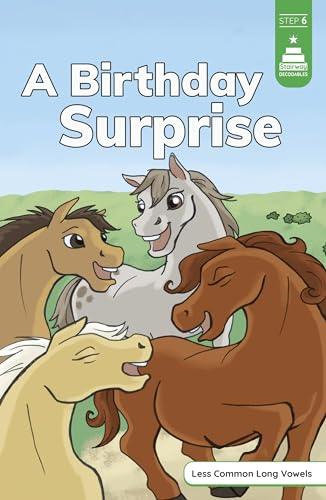9781484698884: A Birthday Surprise (Stairway Decodables, Step 6)