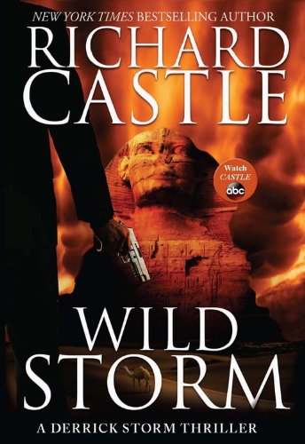 Beispielbild fr Wild Storm : A Derrick Storm Thriller zum Verkauf von Better World Books