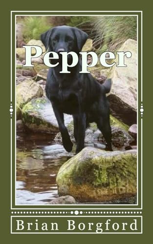 Stock image for Pepper: The Story of a Lost Dog for sale by THE SAINT BOOKSTORE