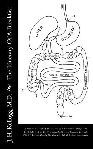 Stock image for The Itinerary Of A Breakfast: A Popular Account Of The Travels Of A Breakfast Through The Food Tube And Of The Ten Gates And Several Stations Through . Of The Obstacles Which It Sometimes Meets. for sale by Revaluation Books