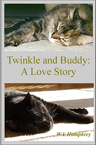 Stock image for Twinkle and Buddy: A Love Story for sale by Lucky's Textbooks