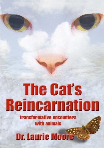 Stock image for The Cat's Reincarnation : Transformative Encounters with Animals for sale by Better World Books