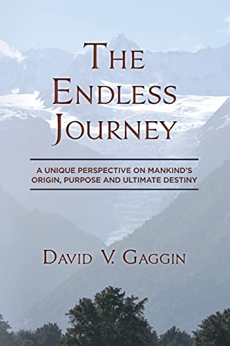 Stock image for The Endless Journey : A Unique Perspective on Mankind's Origin, Purpose and Ultimate Destiny for sale by Better World Books