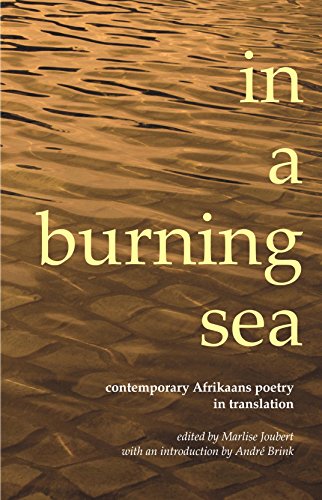 9781485301073: in a burning sea: Contemporary Afrikaans Poetry in Translation