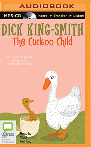 Beispielbild fr The Cuckoo Child zum Verkauf von Revaluation Books