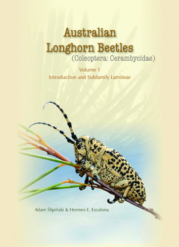 Stock image for Australian Longhorn Beetles Coleoptera Cerambycidae Introduction and Subfamily Lamiinae v 1 for sale by PBShop.store UK
