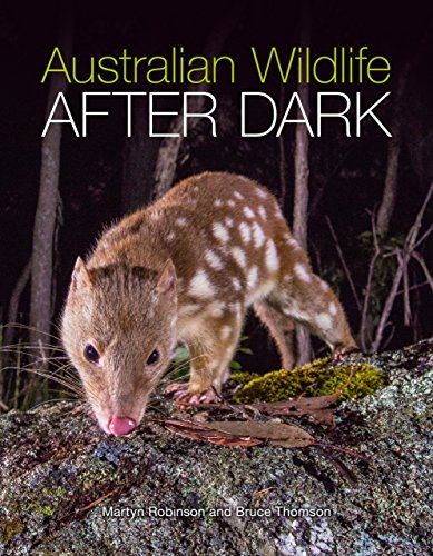 Stock image for Australian Wildlife After Dark [OP] for sale by Irish Booksellers