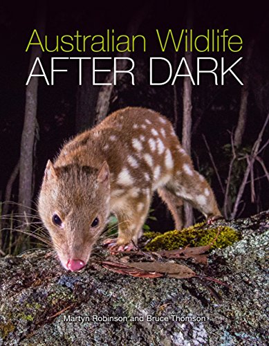 9781486300723: Australian Wildlife After Dark [OP]