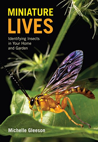 Beispielbild fr Miniature Lives : Identifying Insects in Your Home and Garden zum Verkauf von Better World Books