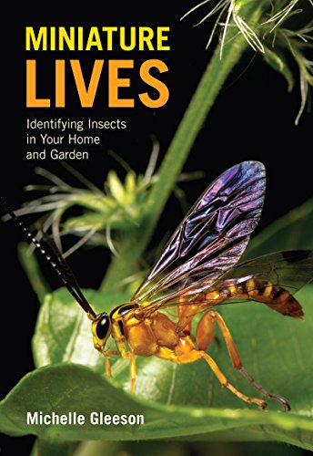 Stock image for Miniature Lives : Identifying Insects in Your Home and Garden for sale by Better World Books