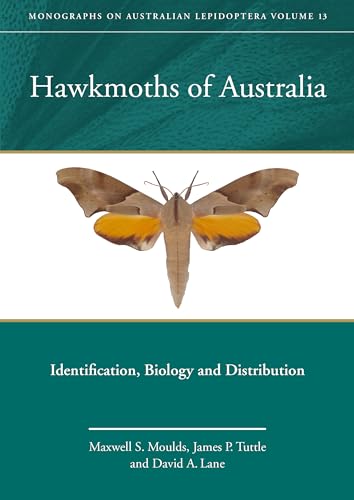 Stock image for Hawkmoths of Australia: Identification, Biology and Distribution (Monographs on Australian Lepidoptera) [Hardcover ] for sale by booksXpress