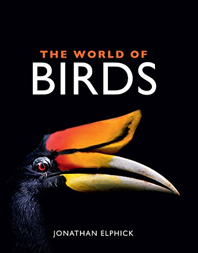 9781486302925: The World of Birds
